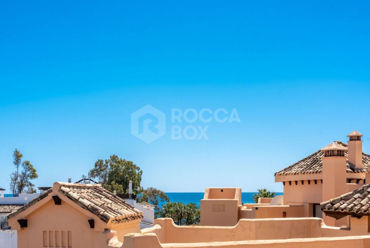 Fantastic duplex penthouse in San Pedro for sale