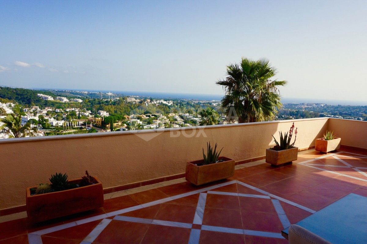 Superior 3 bed duplex apartment in Albatross Hills.