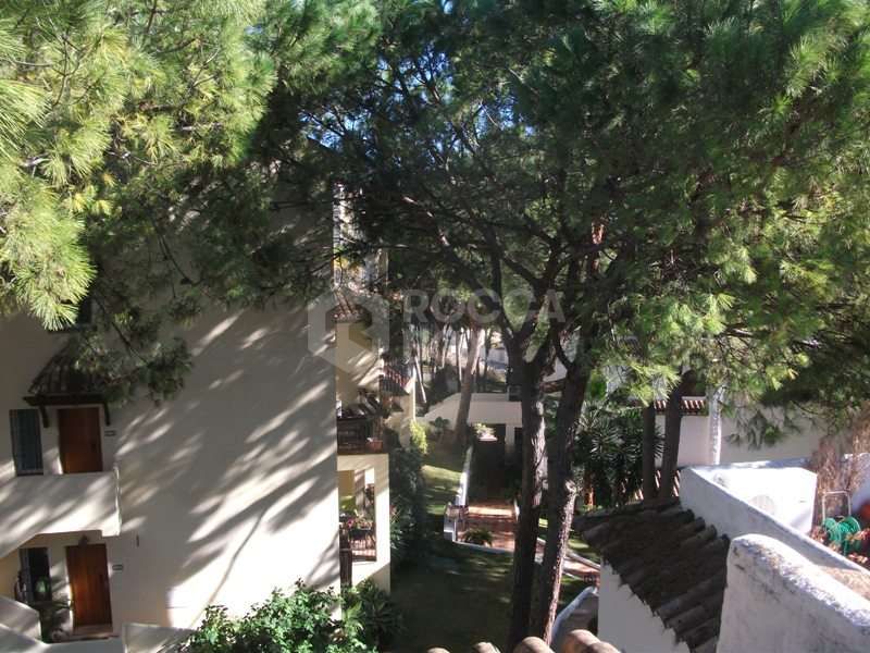 A three bedroom penthouse in Los Pinos de Aloha for sale