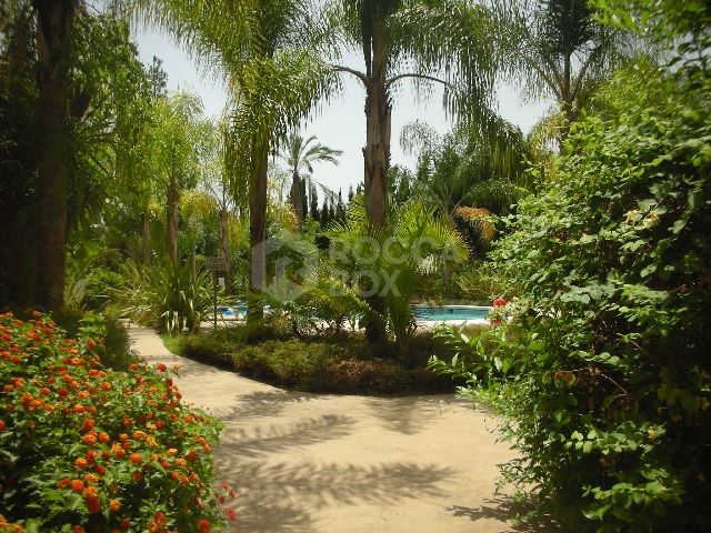 Nueva Andalucia, 2 bedroom GROUND FLOOR SPACIOUS apartment for sale