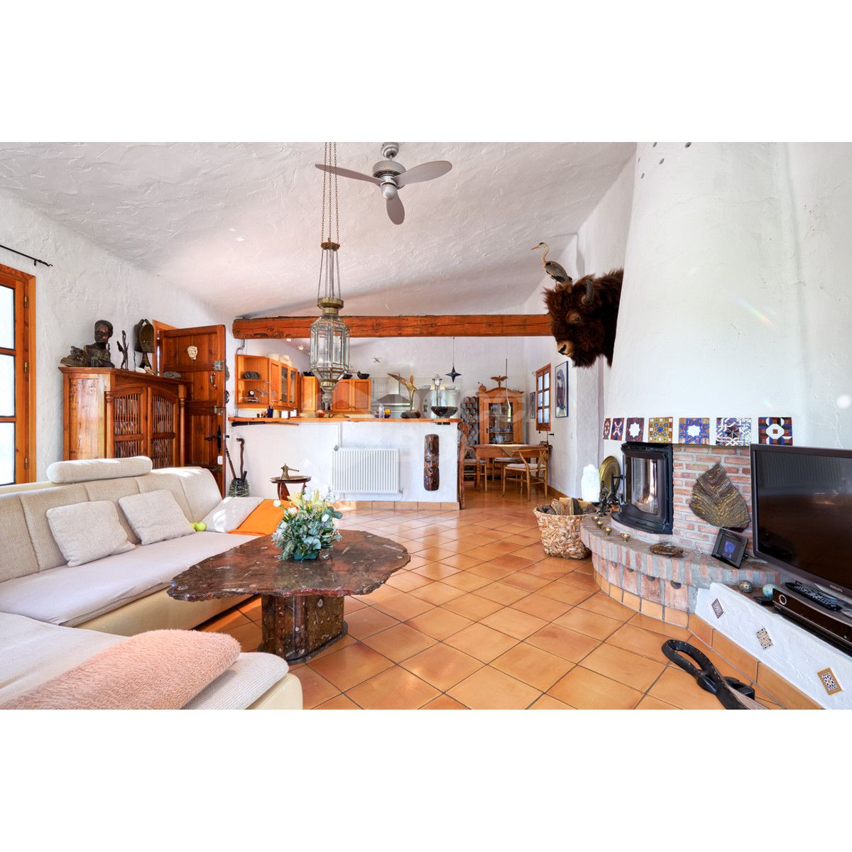 Exceptional Finca with Enormous Potential near Estepona