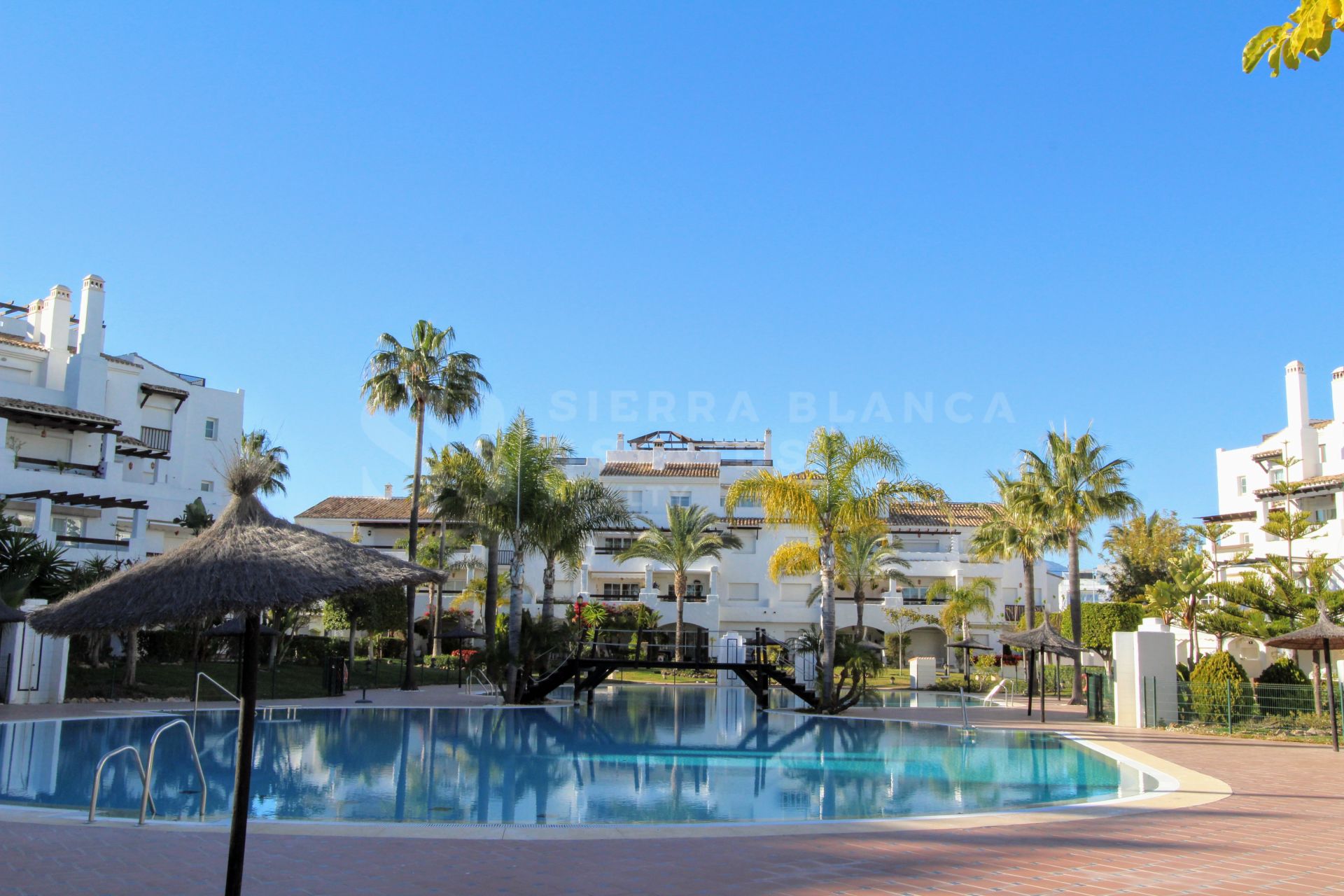 Fully renovated beachfront apartment in San Pedro