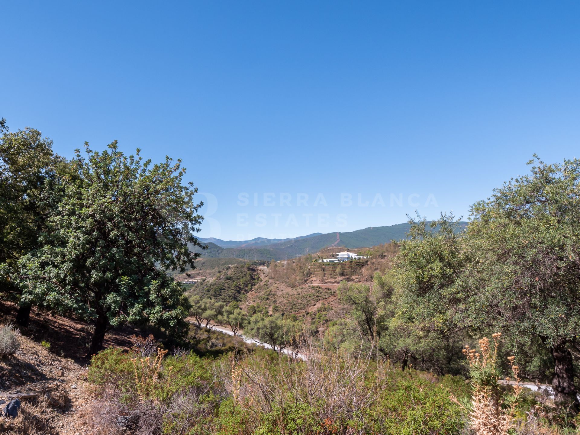 Plot with Villa Project in La Zagaleta