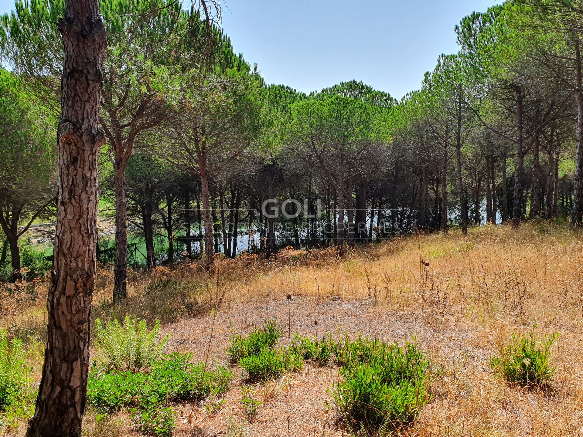 Magníficas parcelas rodeadas por el lago de Almenara y el campo de golf