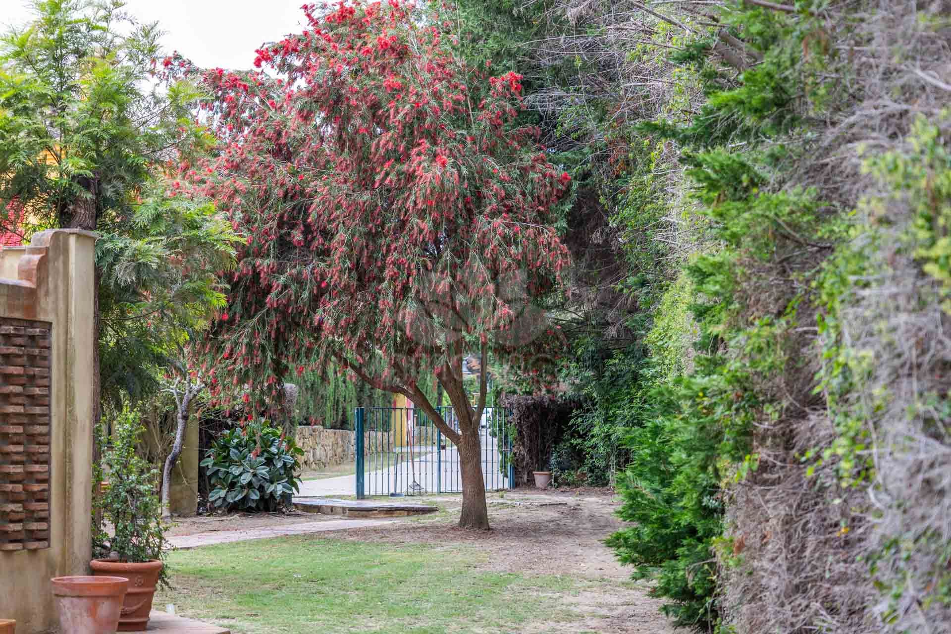 Semi Detached House in El Casar Fronda, Sotogrande