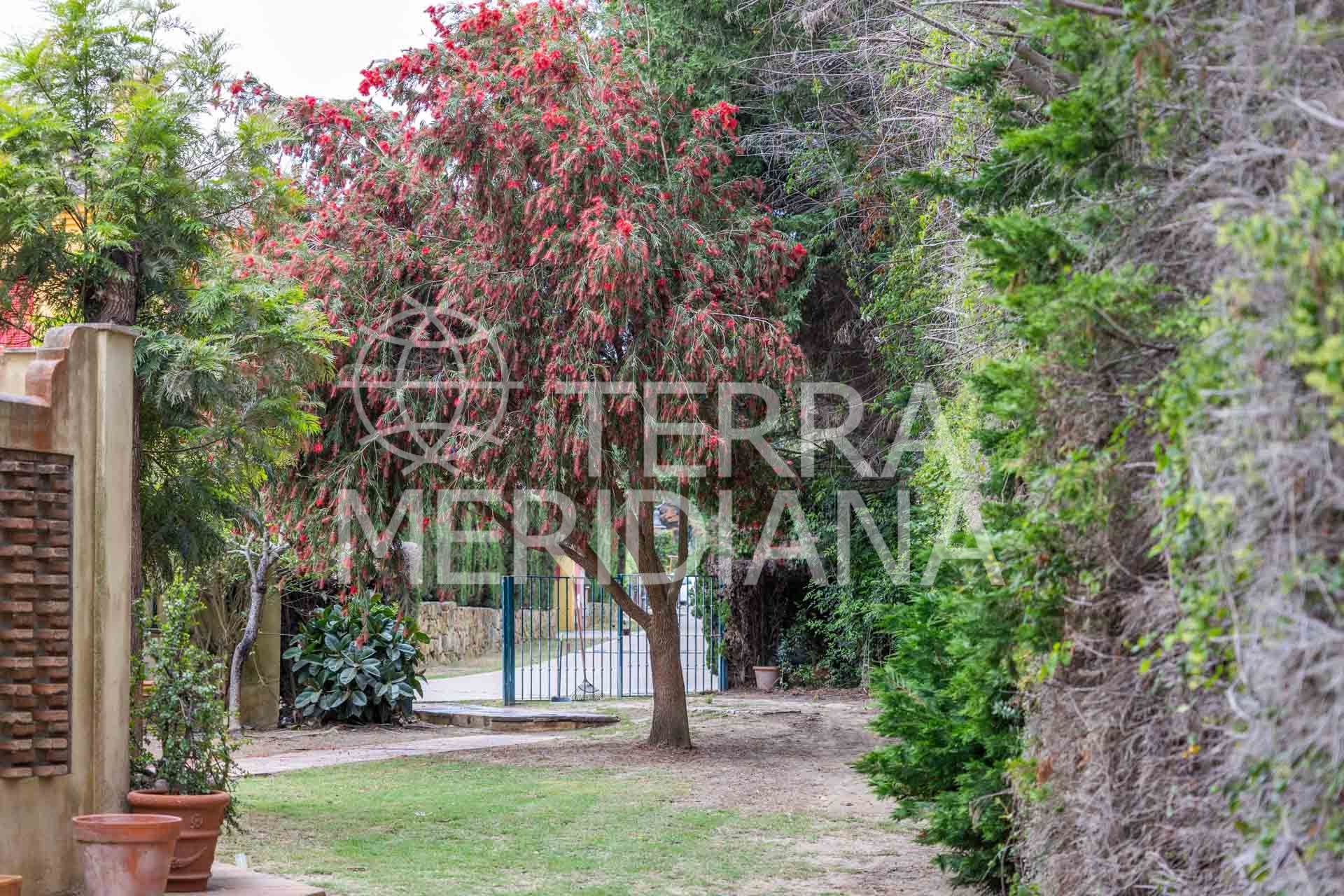 Semi Detached House in El Casar Fronda, Sotogrande