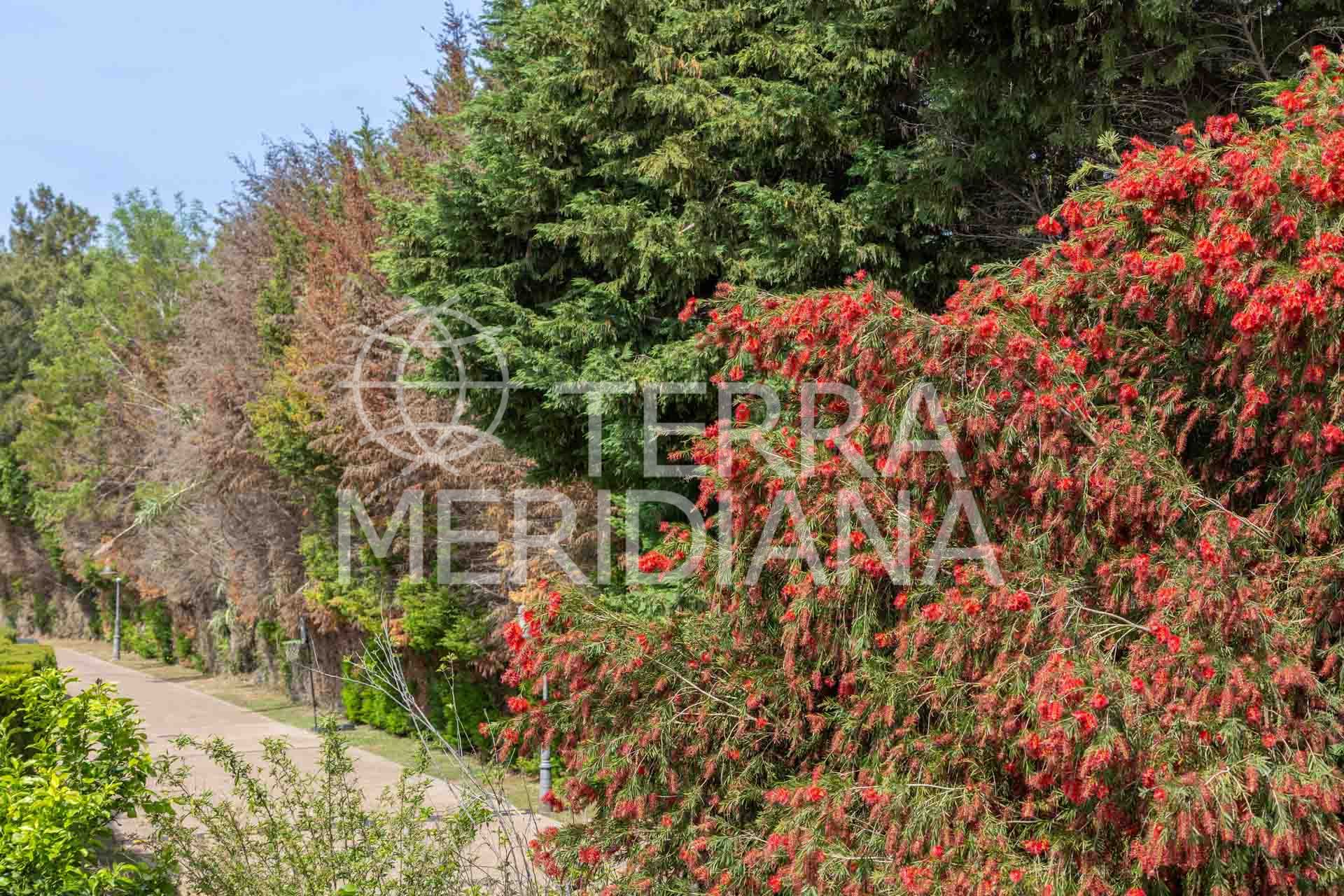 Semi Detached House in El Casar Fronda, Sotogrande