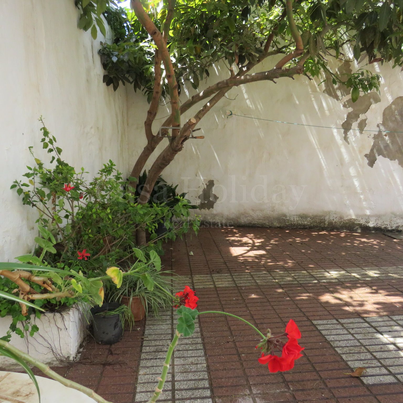 House in Estepona Old Town, Estepona