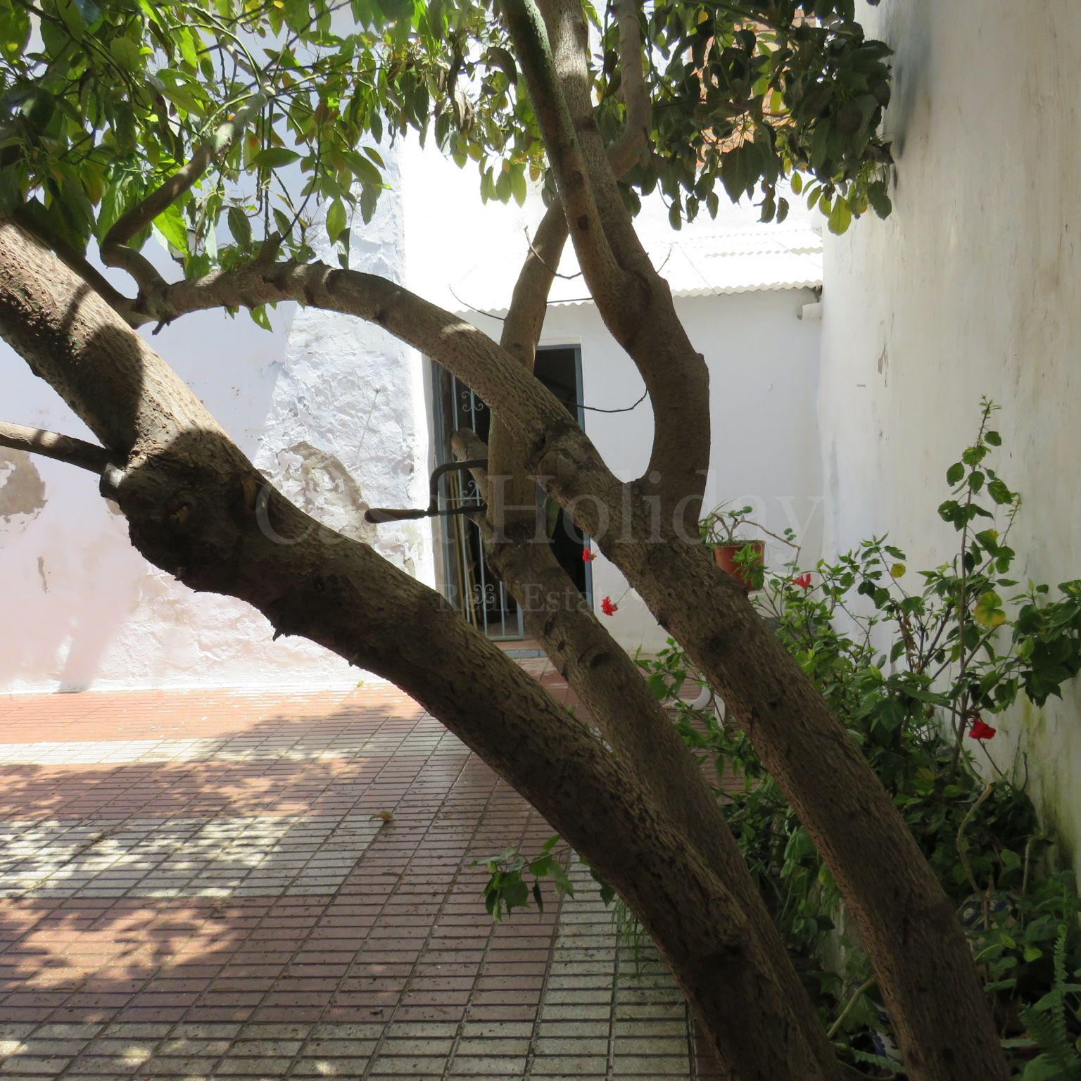 House in Estepona Old Town, Estepona