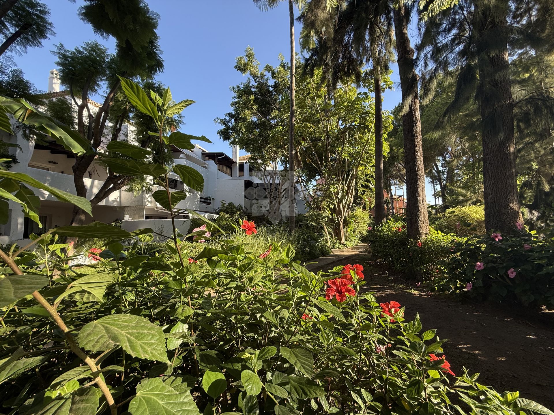 Penthouse in Guadalmina Baja, San Pedro de Alcantara
