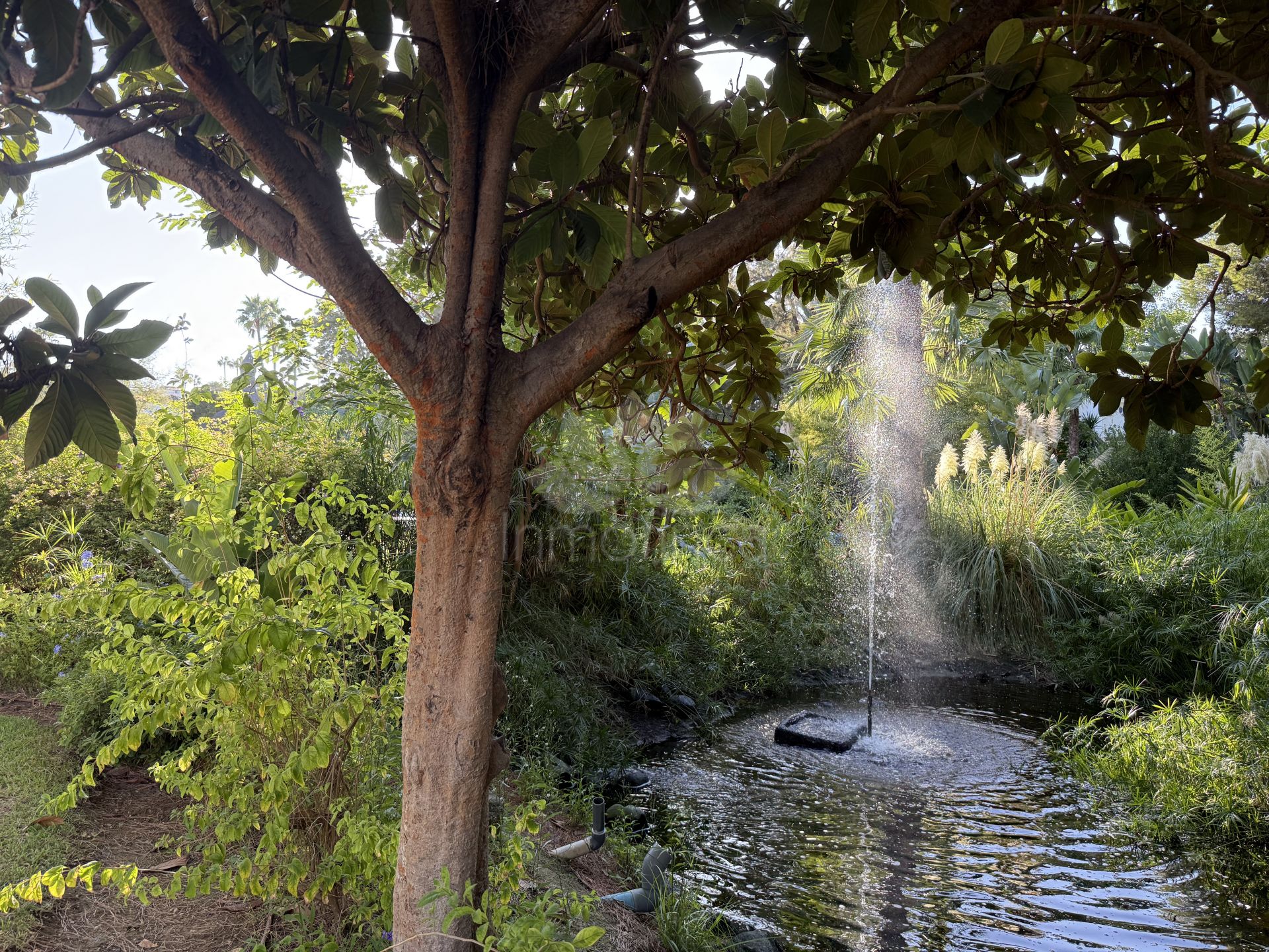 Ático en Guadalmina Baja, San Pedro de Alcantara