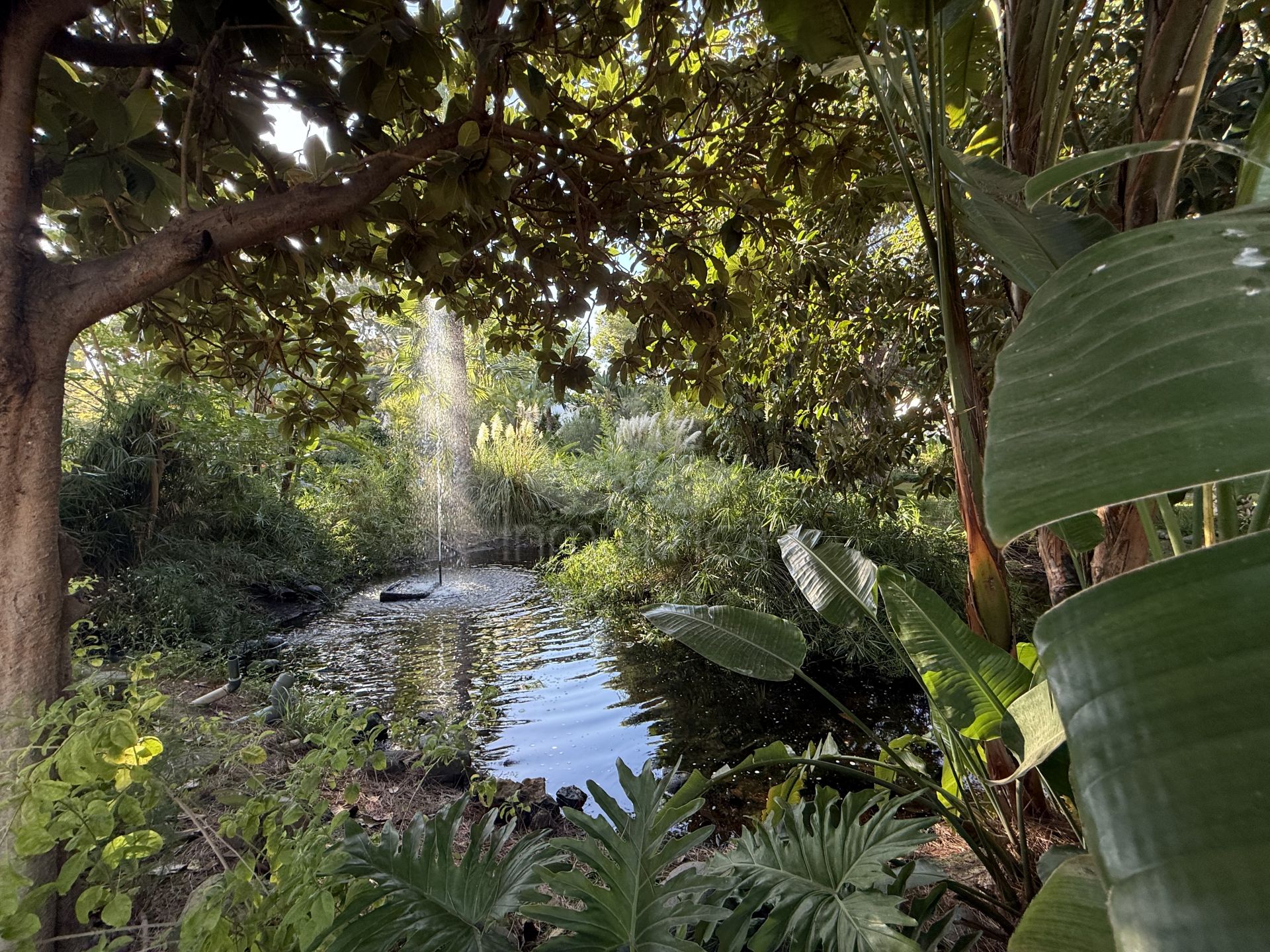 Ático en Guadalmina Baja, San Pedro de Alcantara