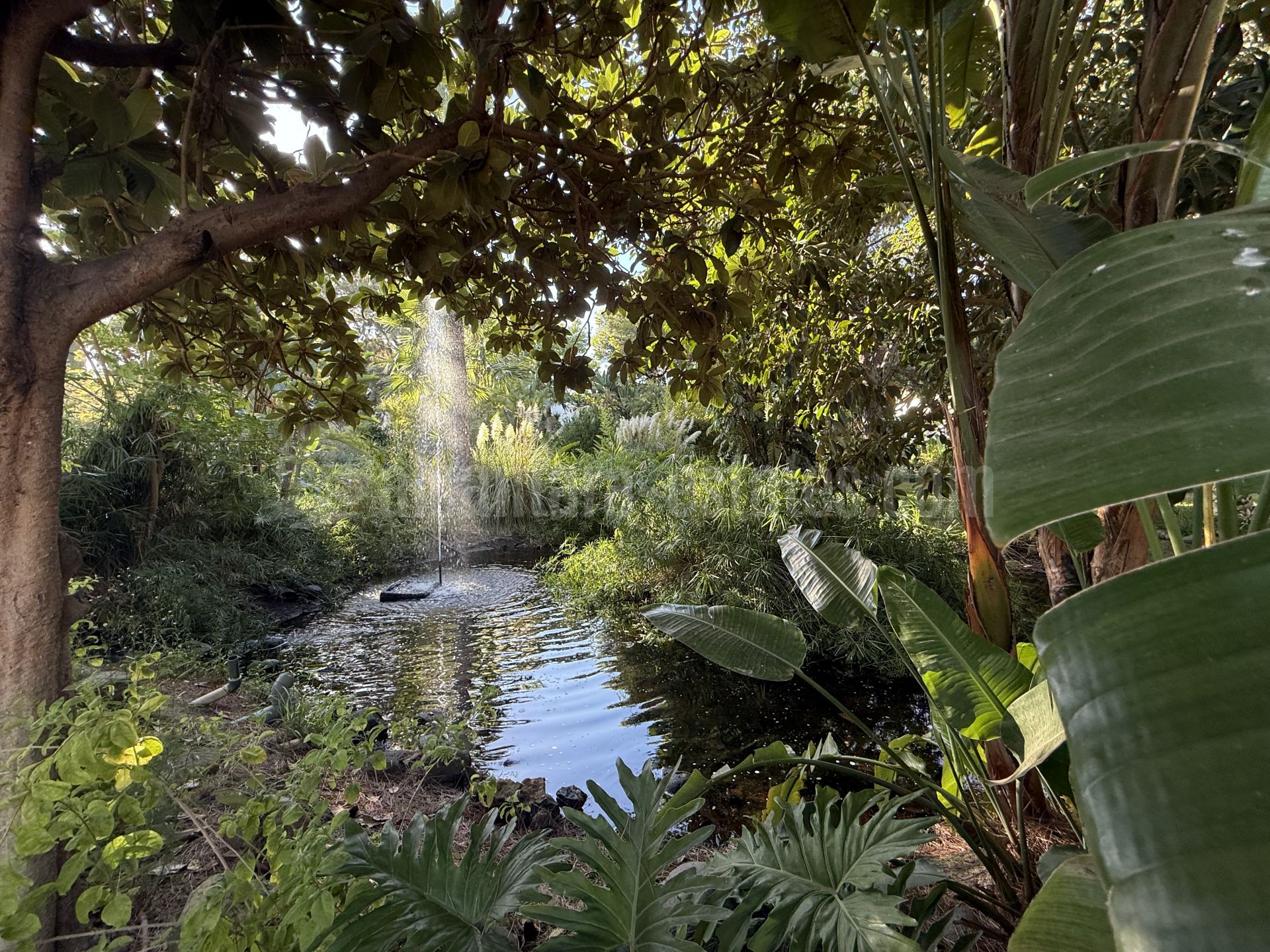 Penthouse in Guadalmina Baja, San Pedro de Alcantara