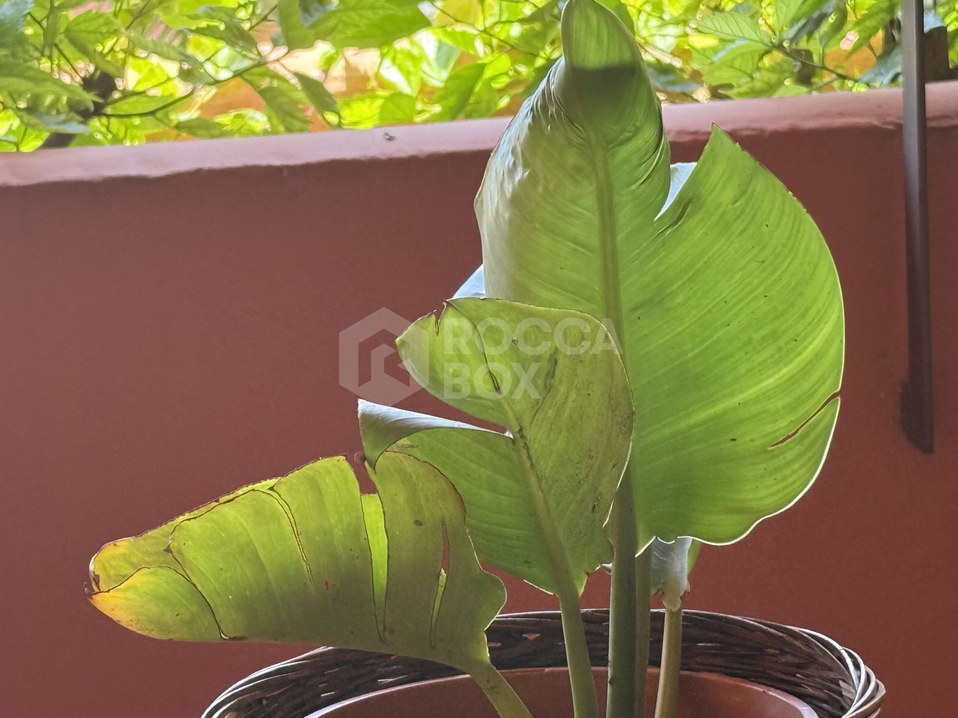 Apartment with sea views in Guadalmansa.