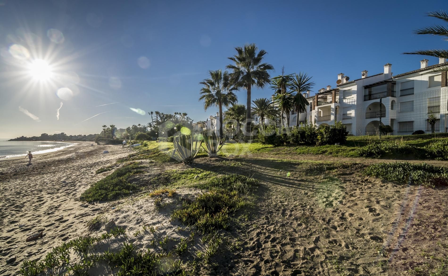 Beachside Apartment in Estepona East