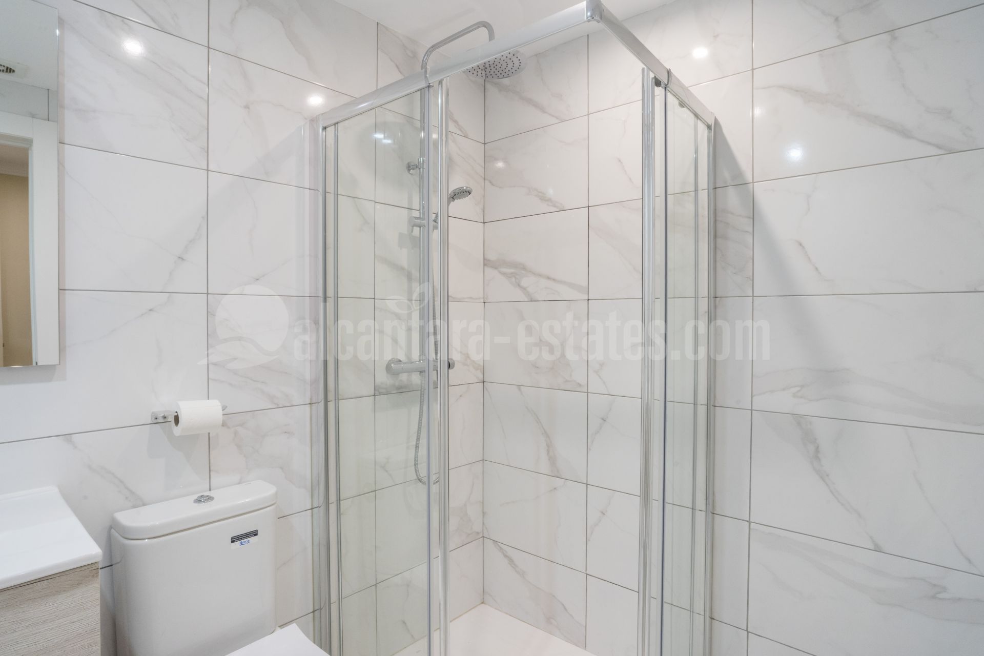 Ground Floor Apartment in Nueva Andalucia, Marbella