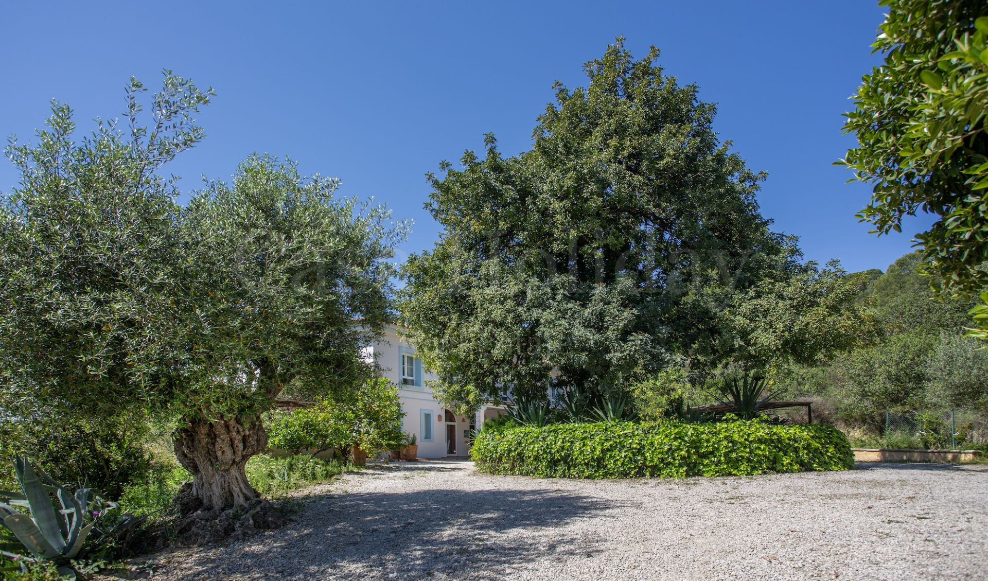 Casa de Campo en Gaucin