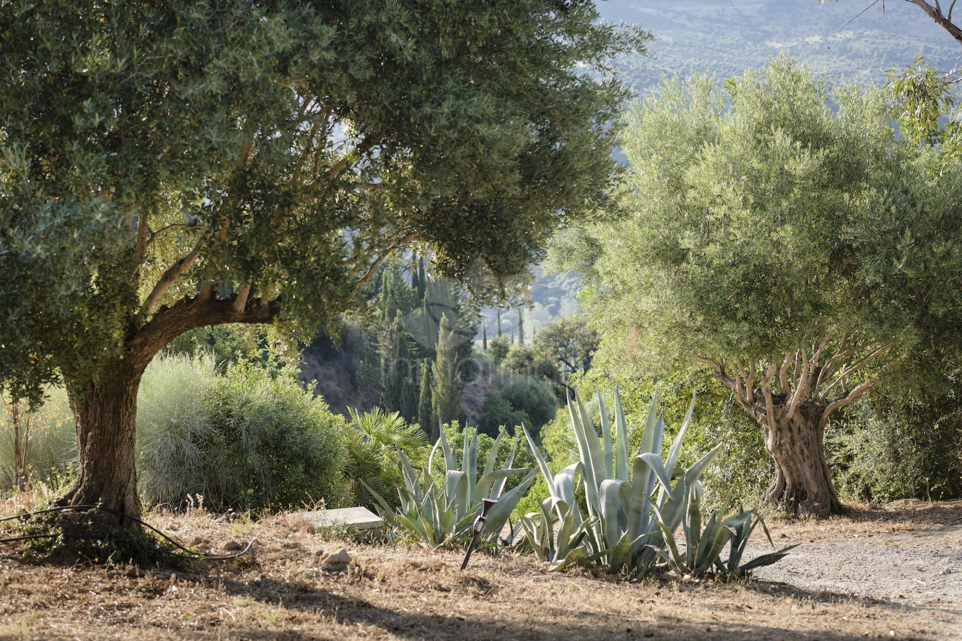 Casa de Campo en Gaucin