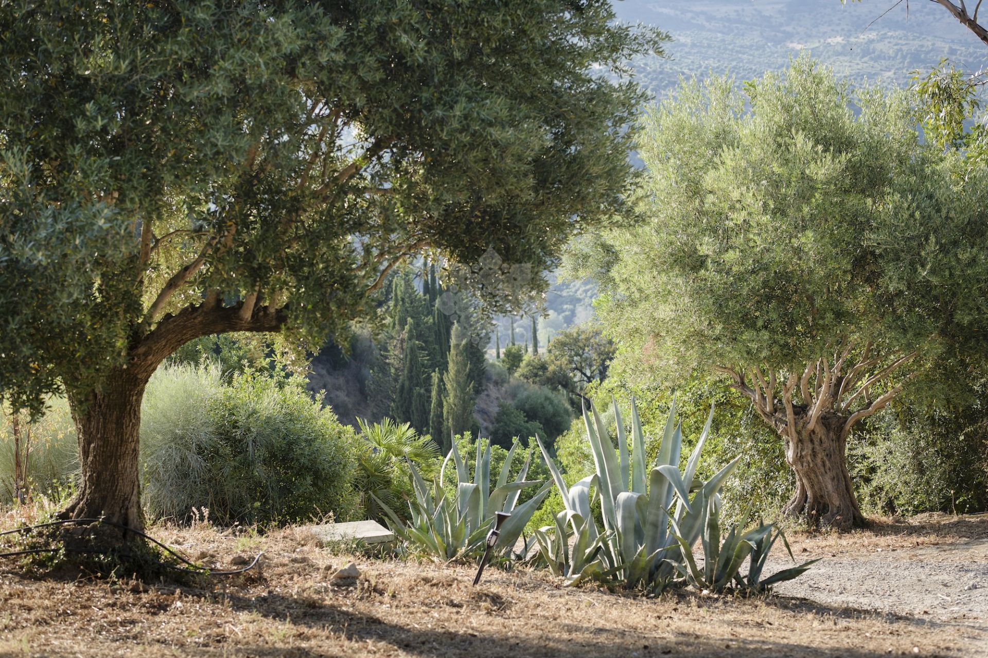 Dom wiejski w Gaucin