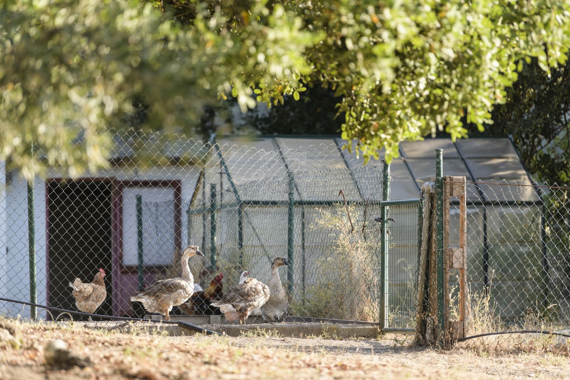 Dom wiejski w Gaucin