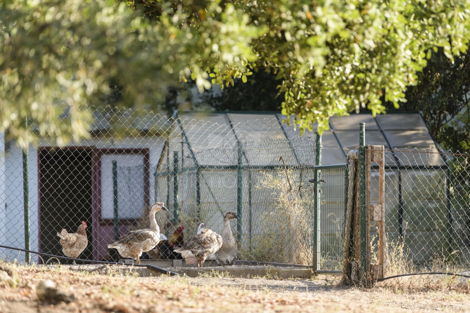 Casa de Campo en Gaucin