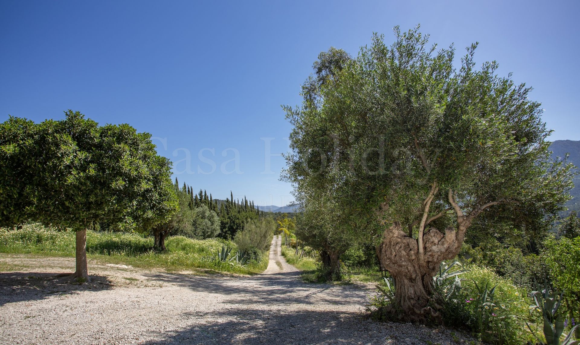Casa de Campo en Gaucin