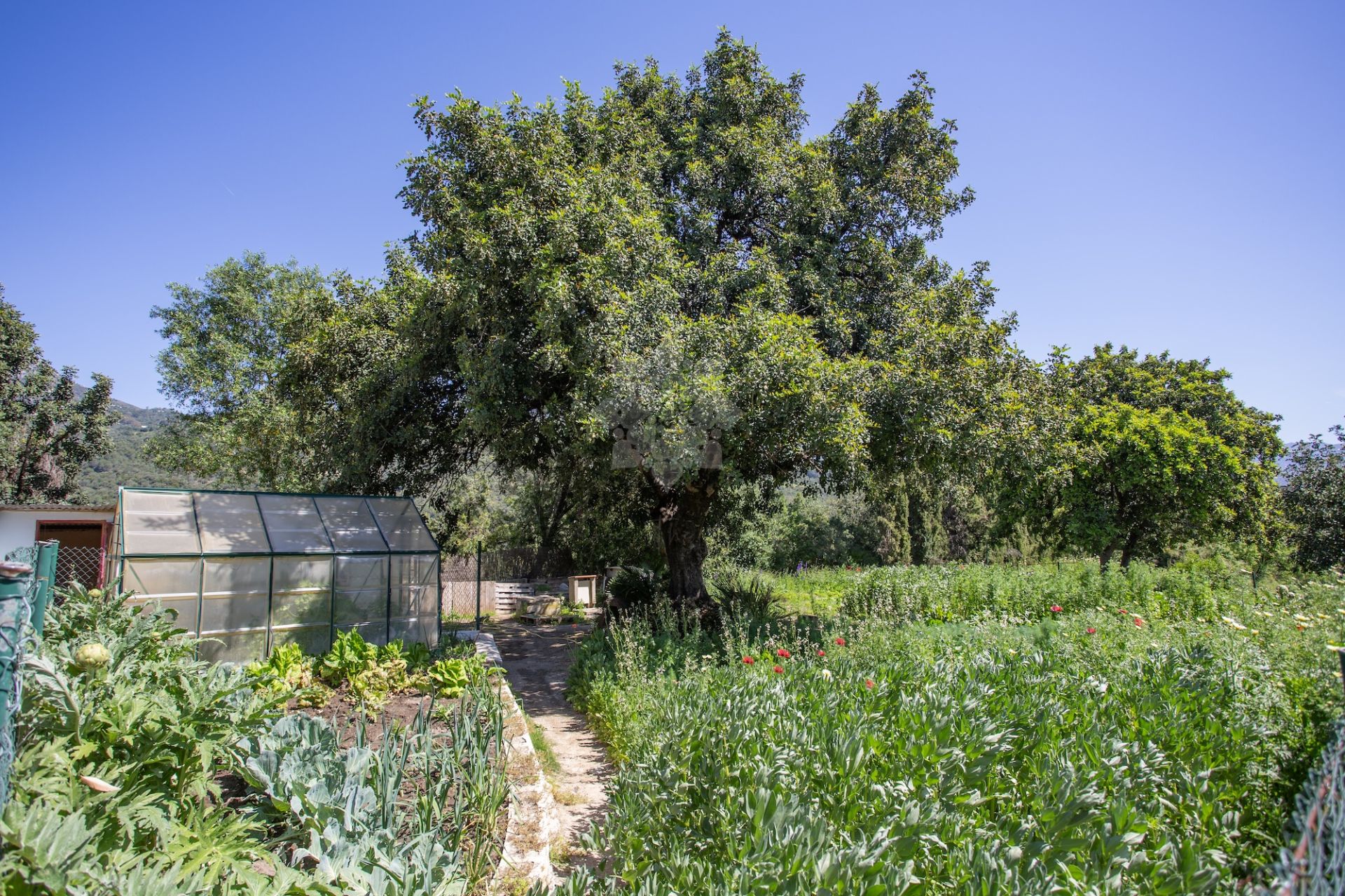 Dom wiejski w Gaucin