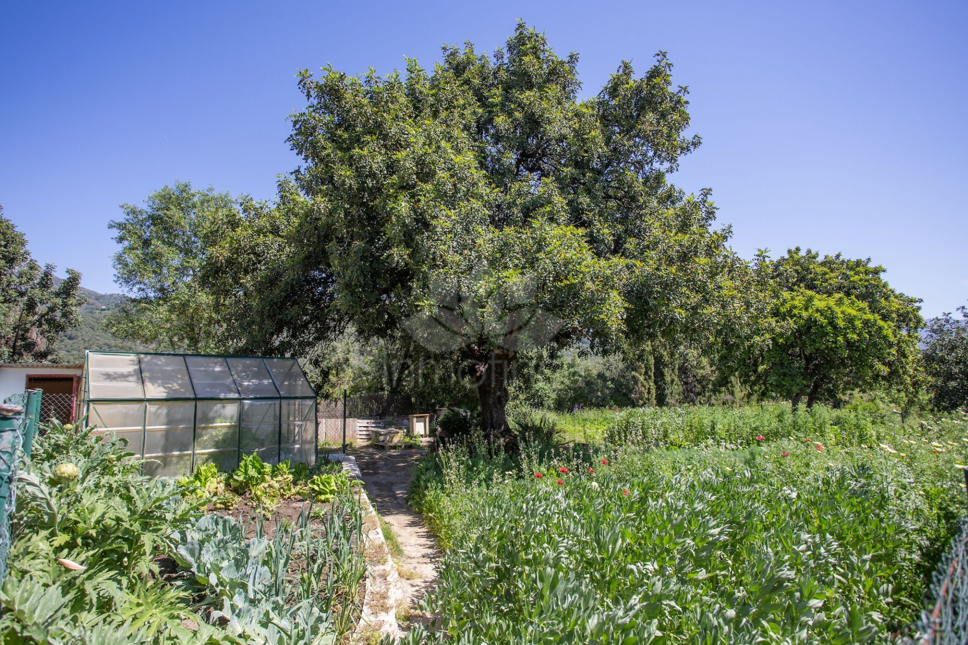 Casa de Campo en Gaucin