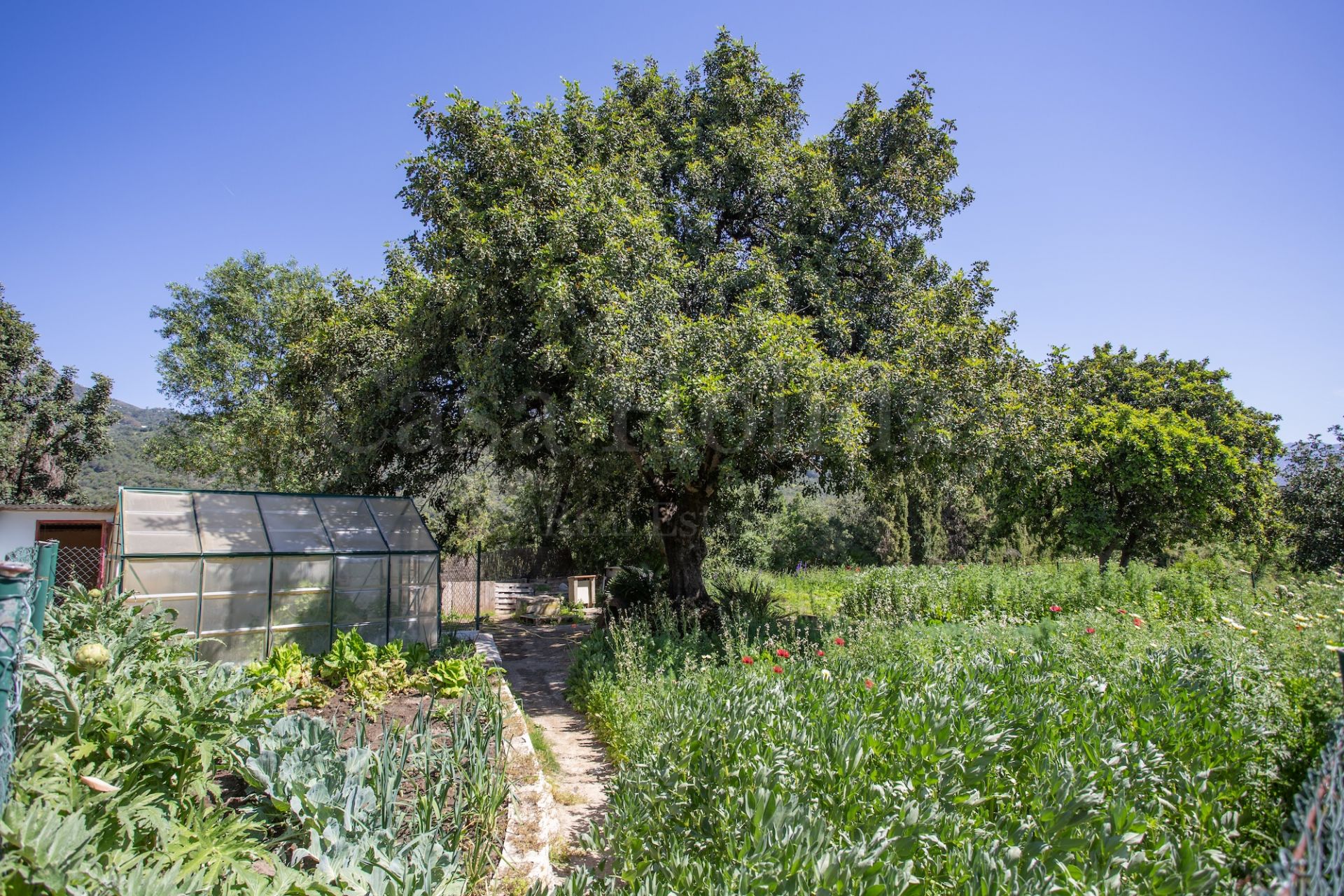 Casa de Campo en Gaucin