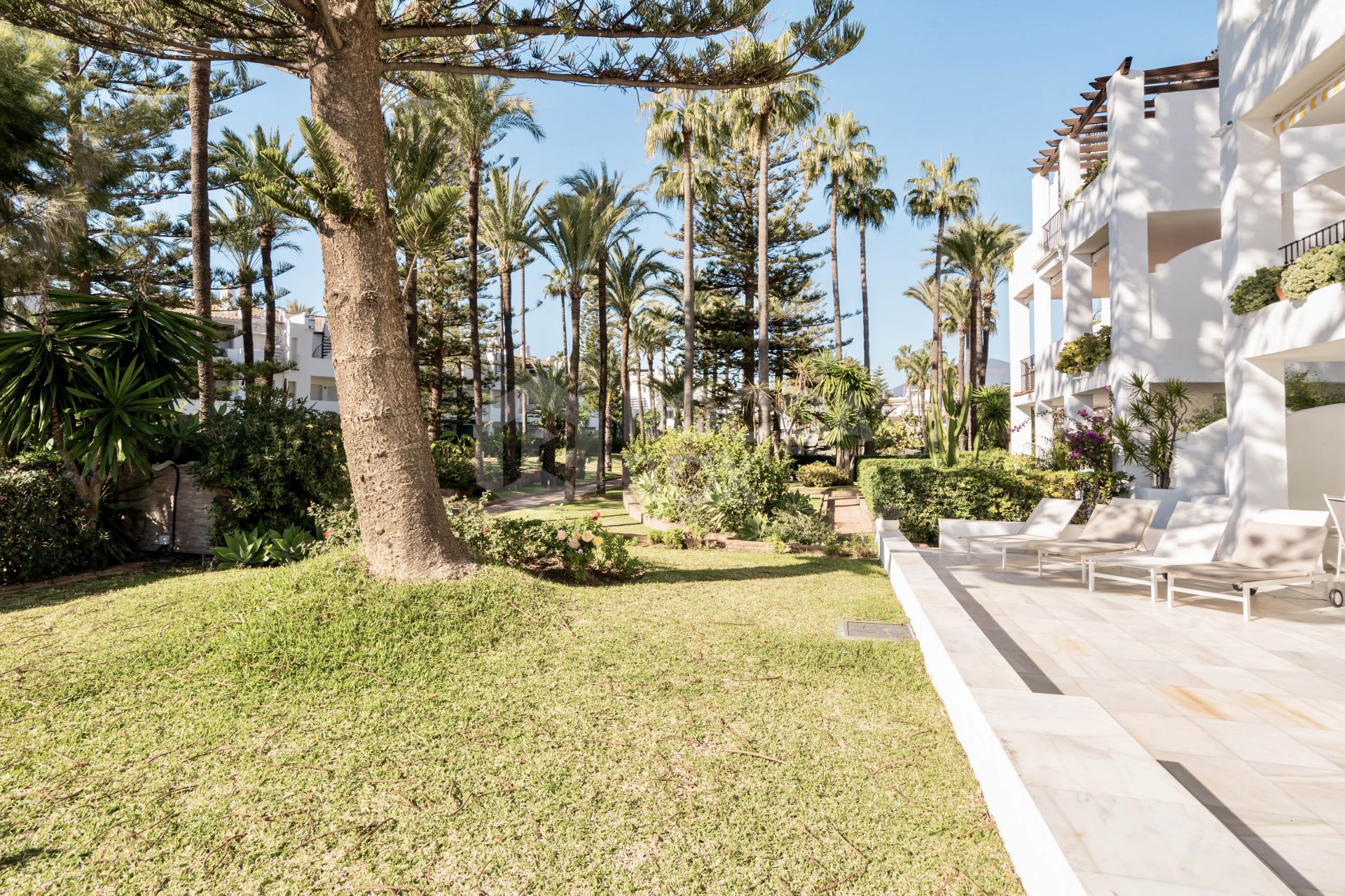 Spacious 3 bedroom apartment close to beach in San Pedro.