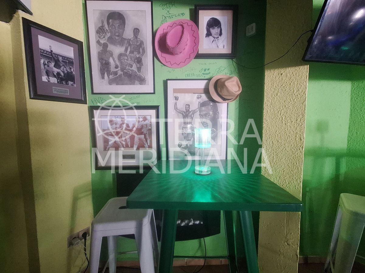 Commercial Premises in Puerto de Cabopino, Marbella