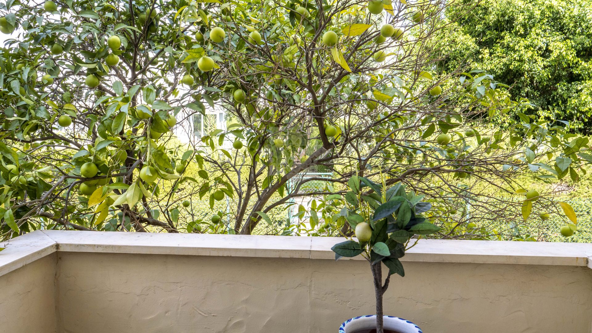 Apartment in El Pilar, Estepona