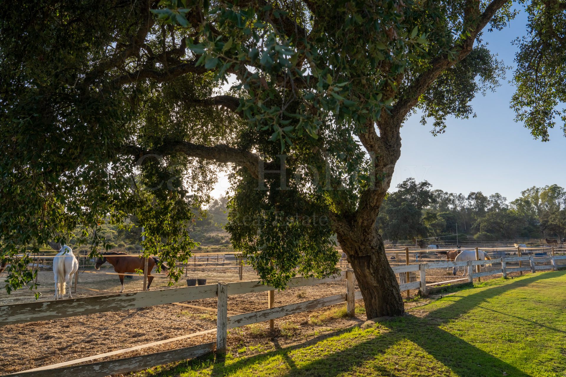 Parcela en San Roque Club, San Roque