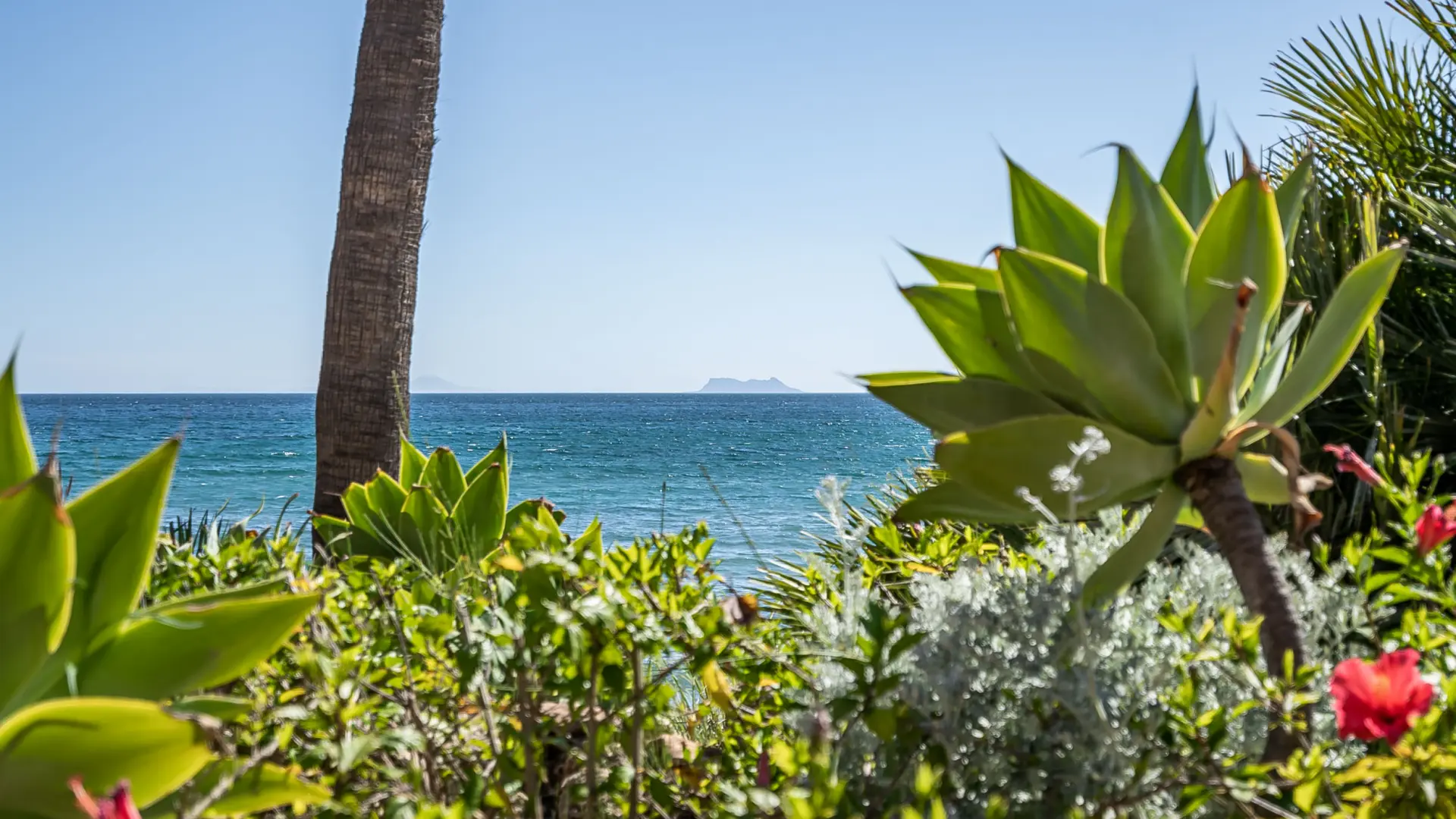 Mediterranean planting beside the coast on the New Golden Mile in Estepona