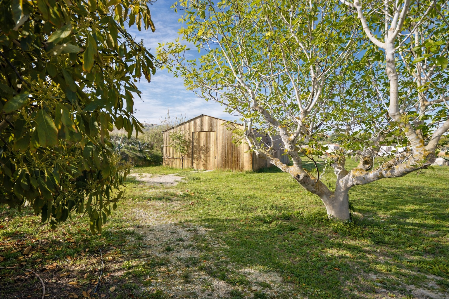 JV1101 - Finca zum verkauf in Poble Nou De Benitatxell