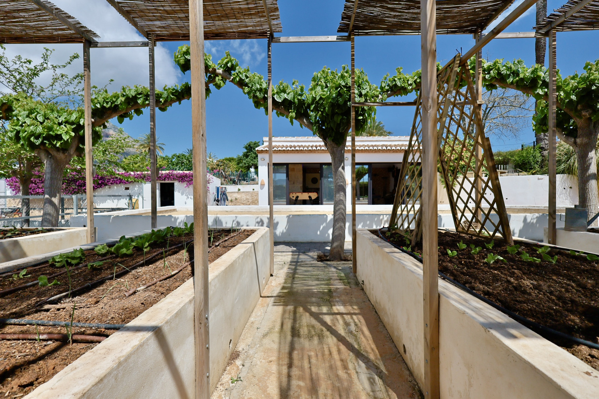 JV984 - Chalet/Villa en venta en Xàbia
