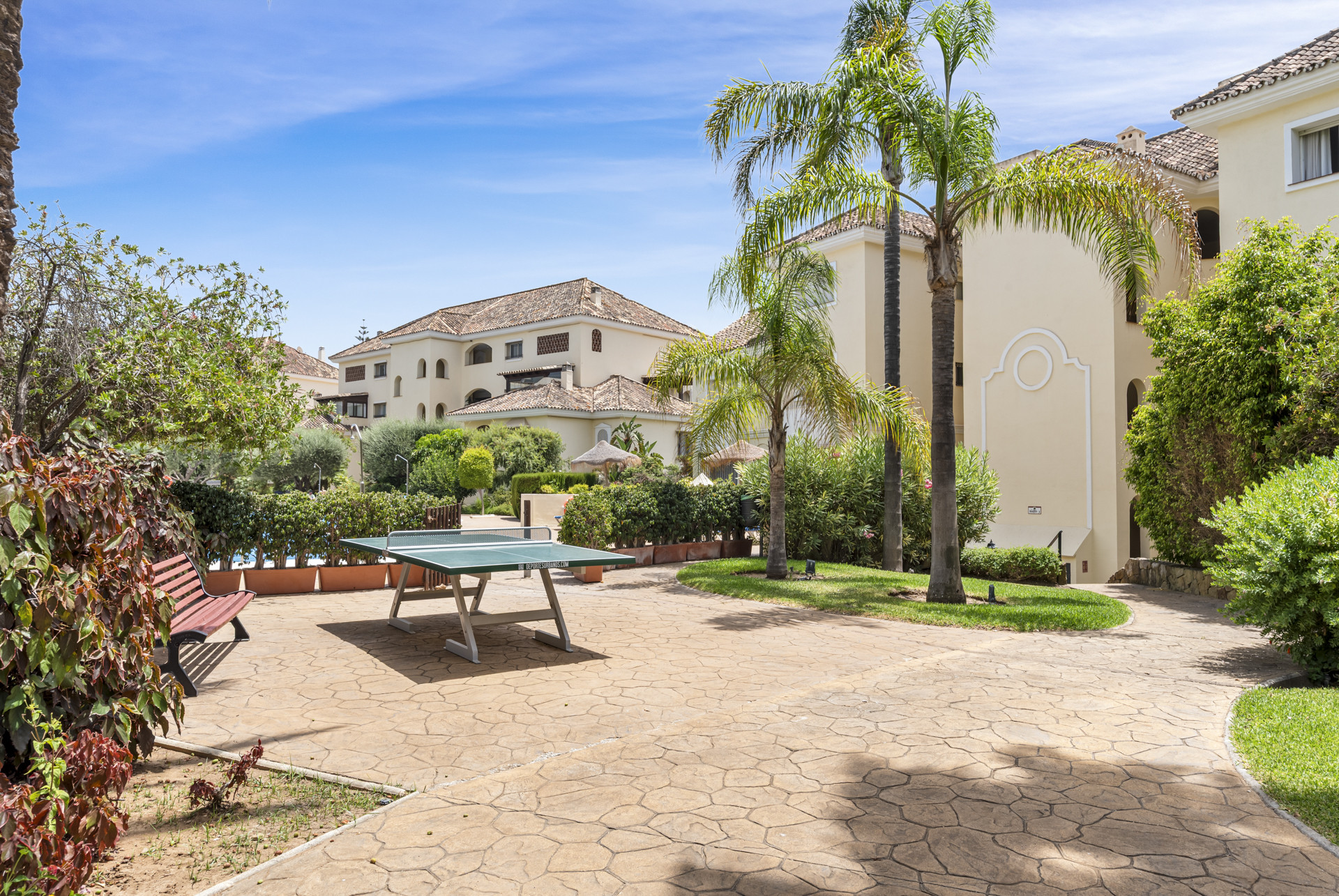 Outdoor area with a green ping-pong table and a wooden bench, surrounded by palm trees and apartment buildings.