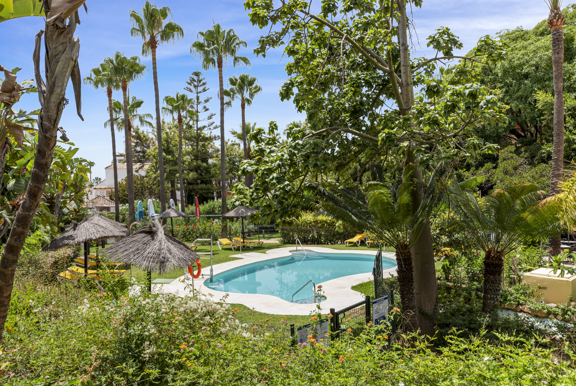Aerial view of a smaller kidney-shaped pool with sun loungers, surrounded by lush tropical greenery.