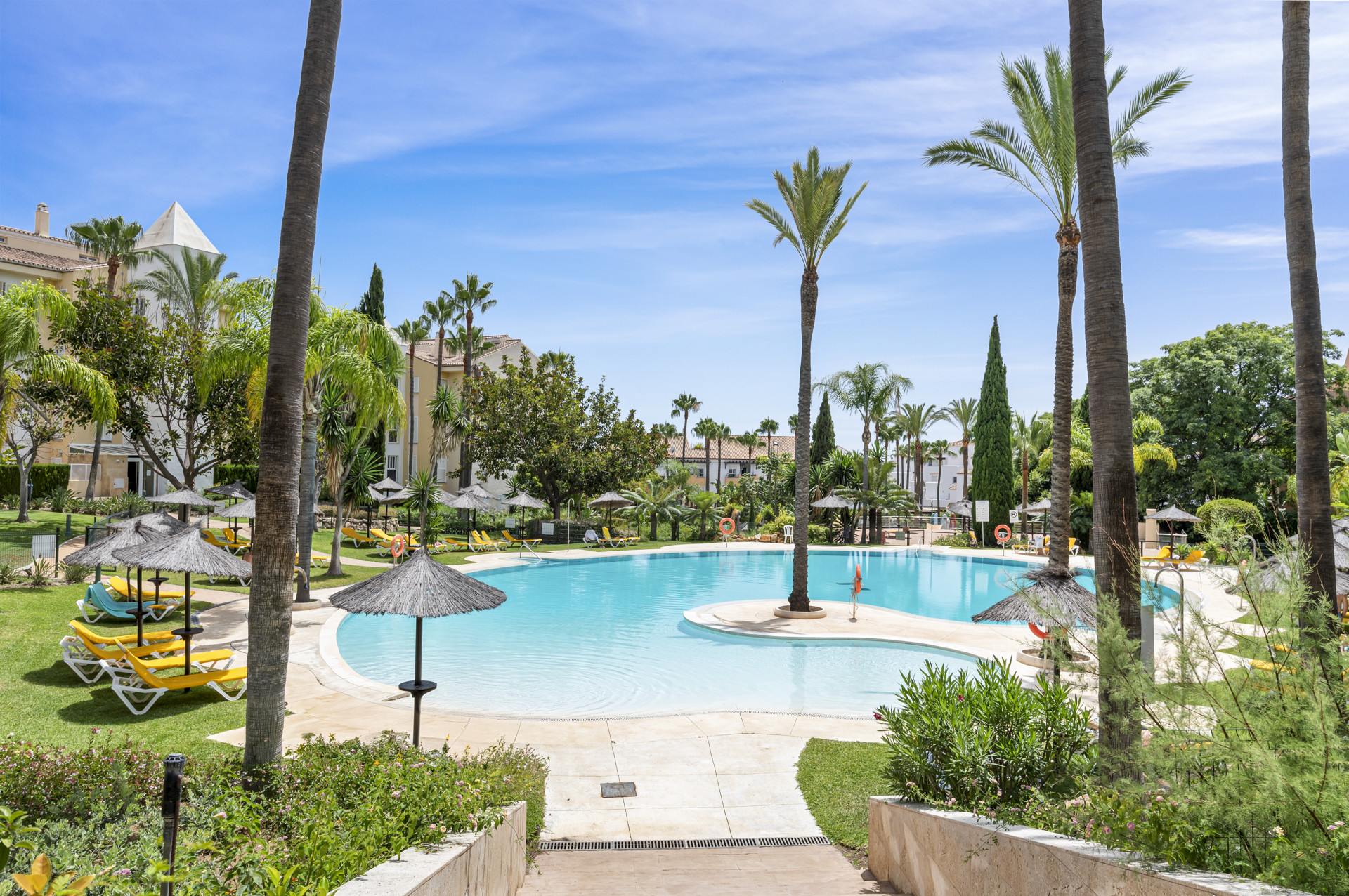 Outdoor view of a large curved swimming pool surrounded by palm trees and sun loungers.