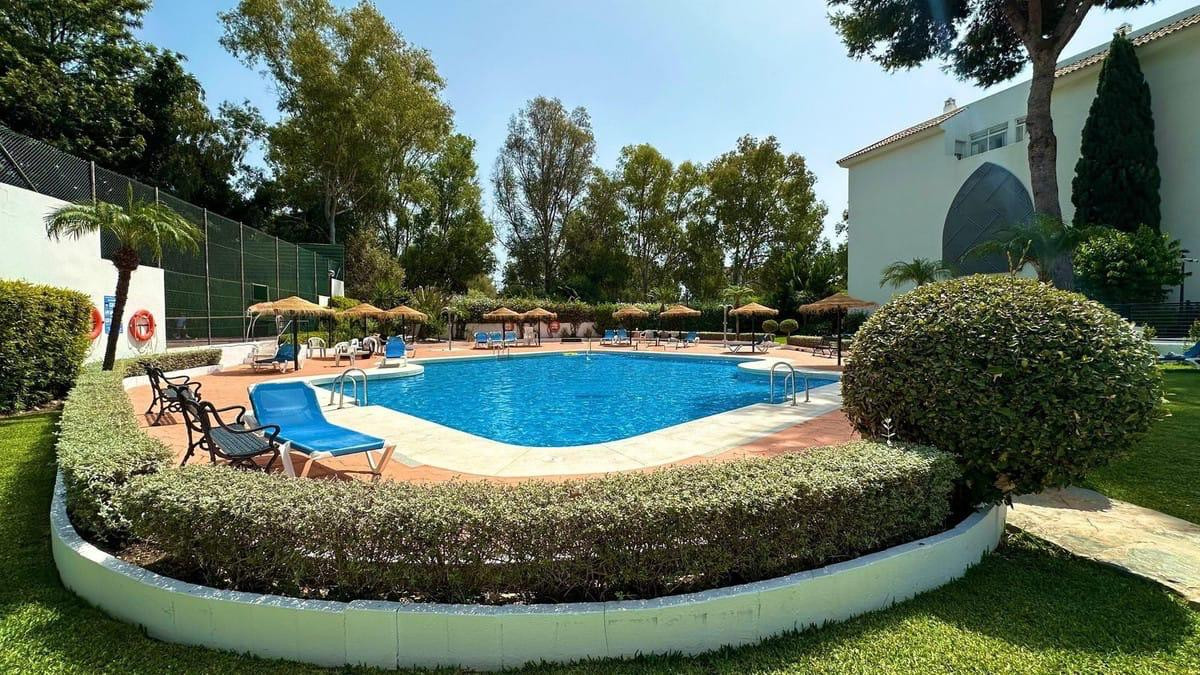 Swimming pool area surrounded by lounge chairs and umbrellas.