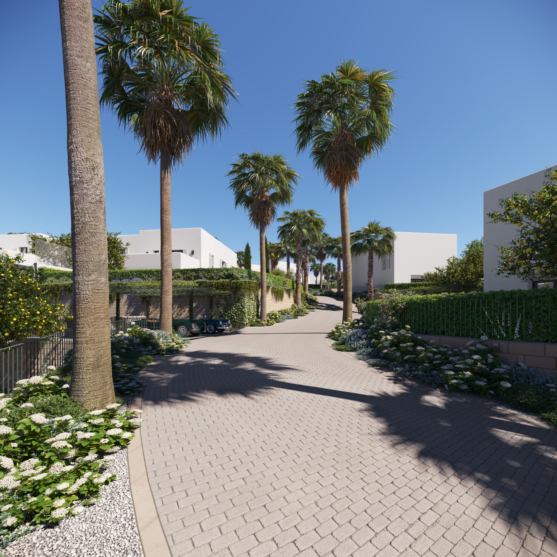 Paved driveway flanked by tall palm trees, manicured hedges, white villas, and flowering bushes under a blue sky.