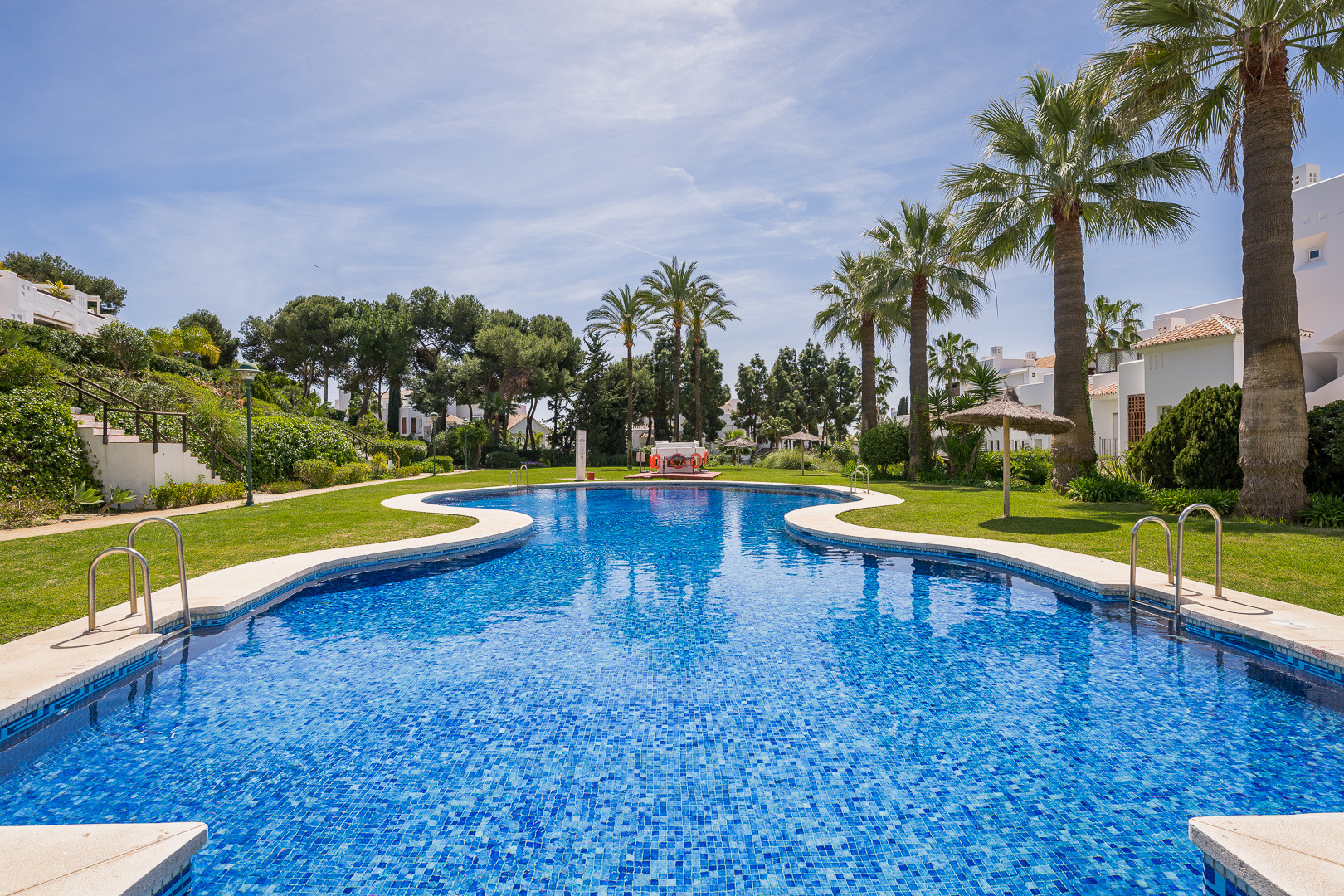Curved outdoor swimming pool surrounded by green grass, tall palm trees, and residential buildings.