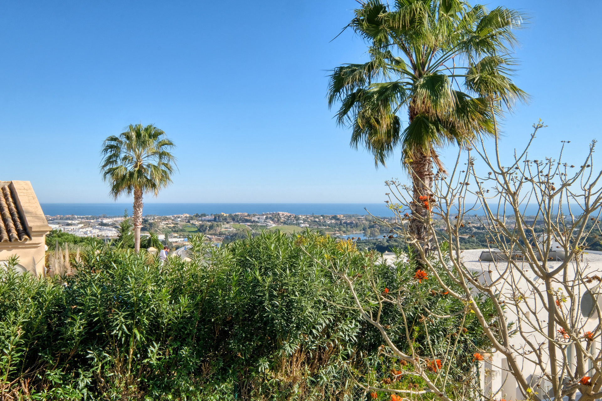 Outdoor scene overlooking a distant coastline with buildings, surrounded by green foliage and palm trees under a clear s
