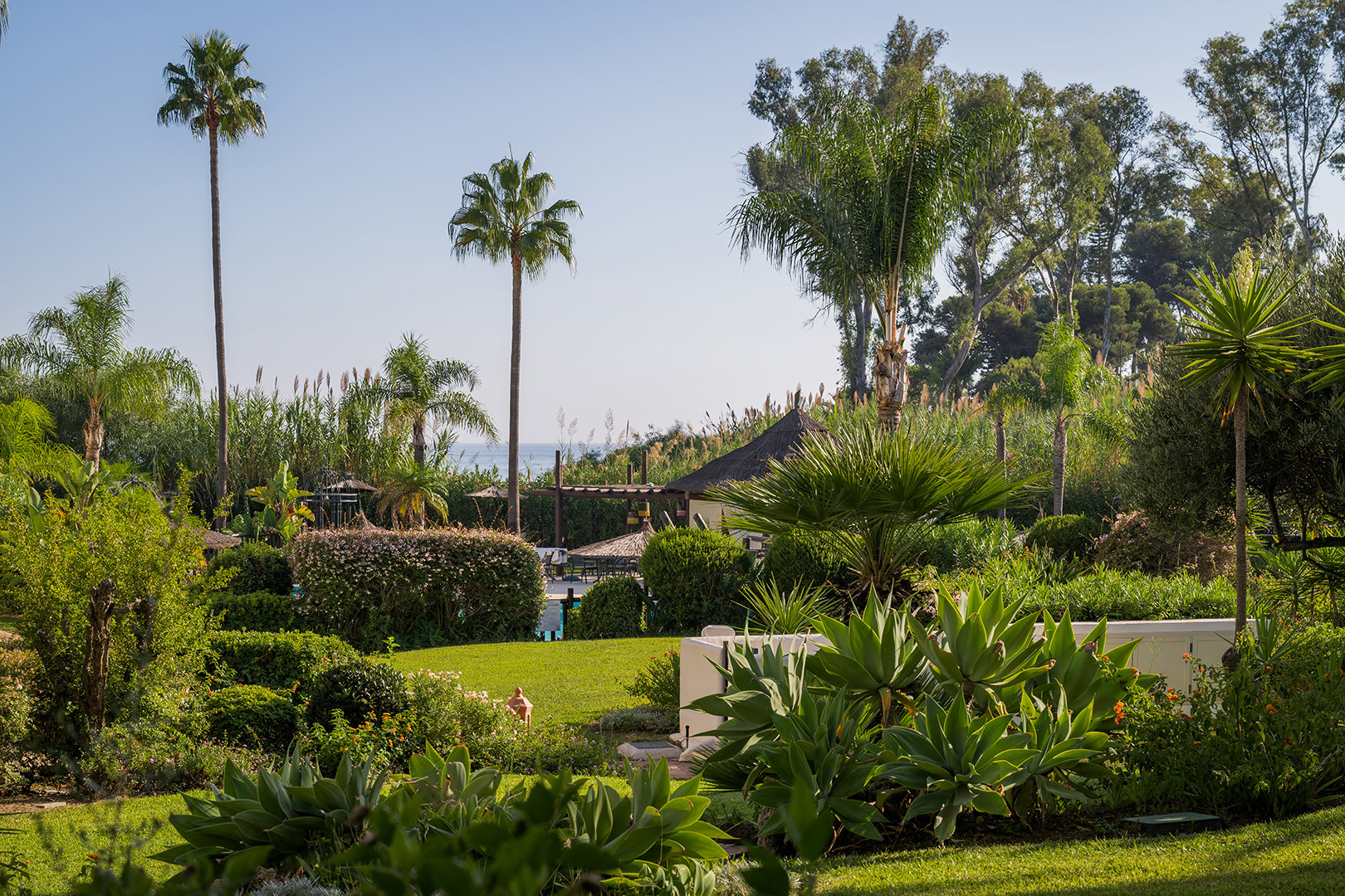 Lush garden with tall palm trees, green foliage, and a glimpse of the ocean in the distance.