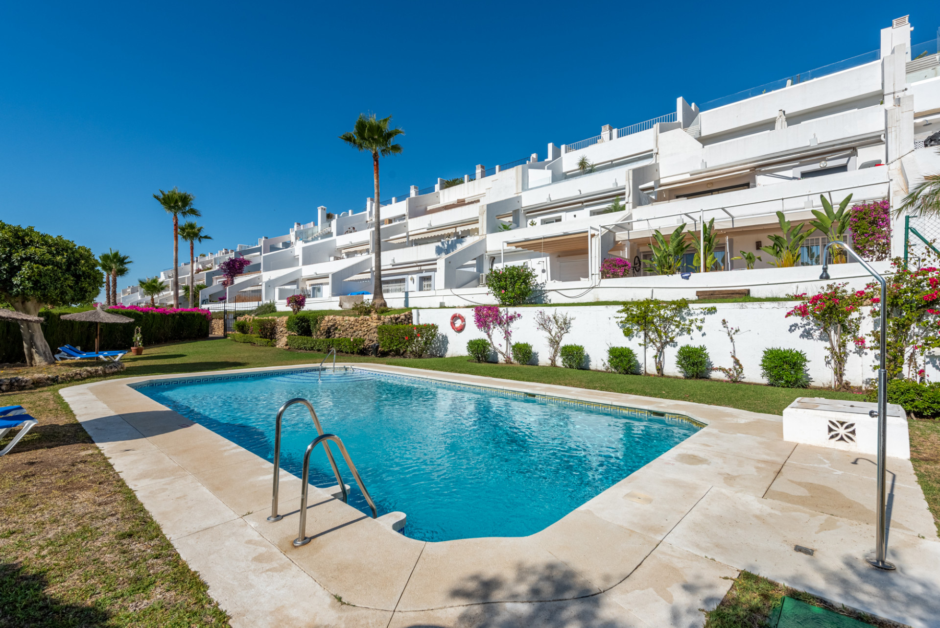 Outdoor view of a rectangular swimming pool surrounded by grass, palm trees, and white apartment buildings.