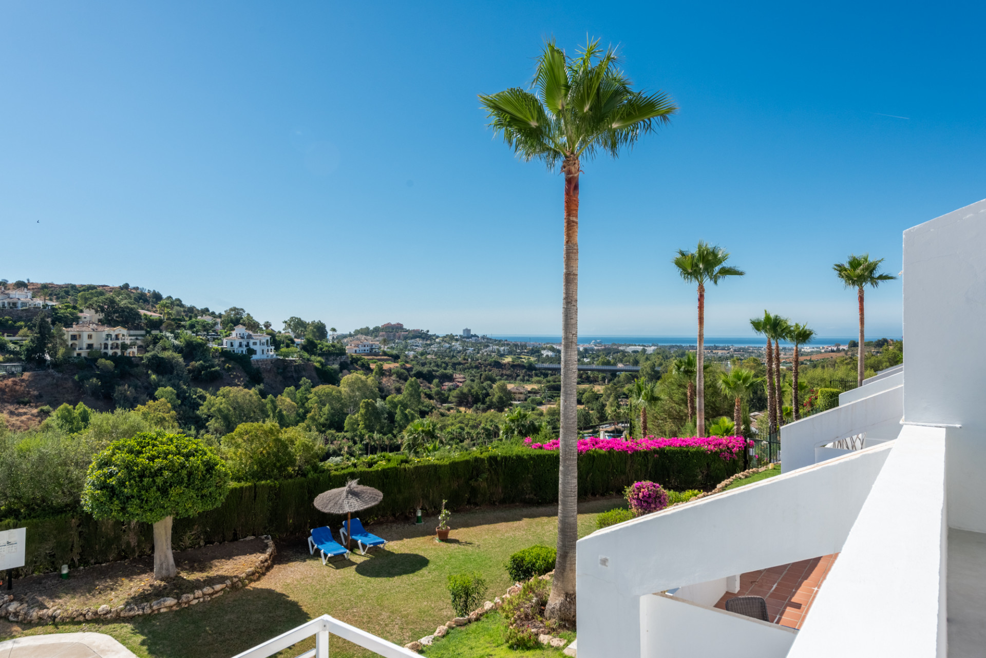 Elevated view of a green lawn with two blue sun loungers, a straw umbrella, and tall palm trees.