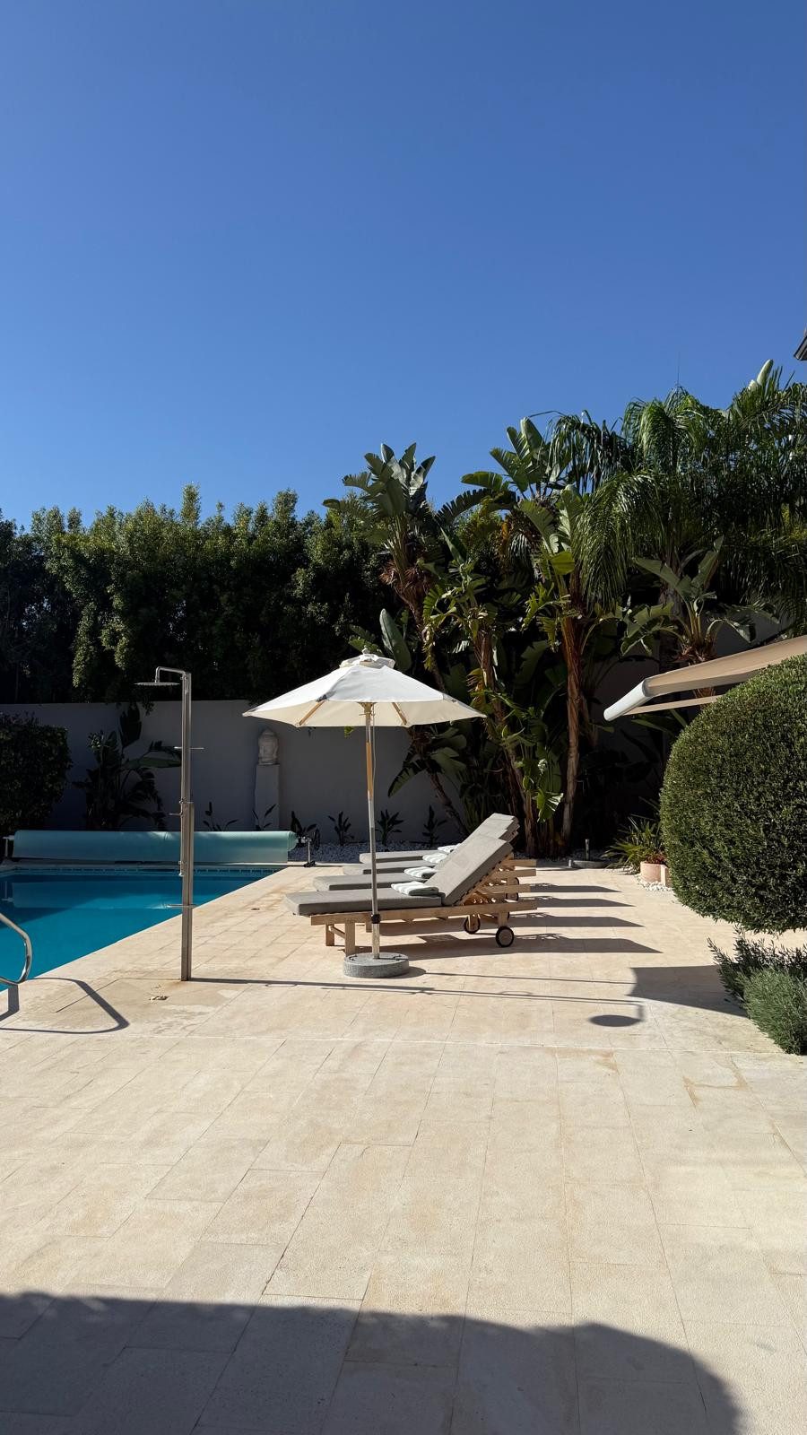 Swimming pool area with lounge chairs and a shower surrounded by palm trees.