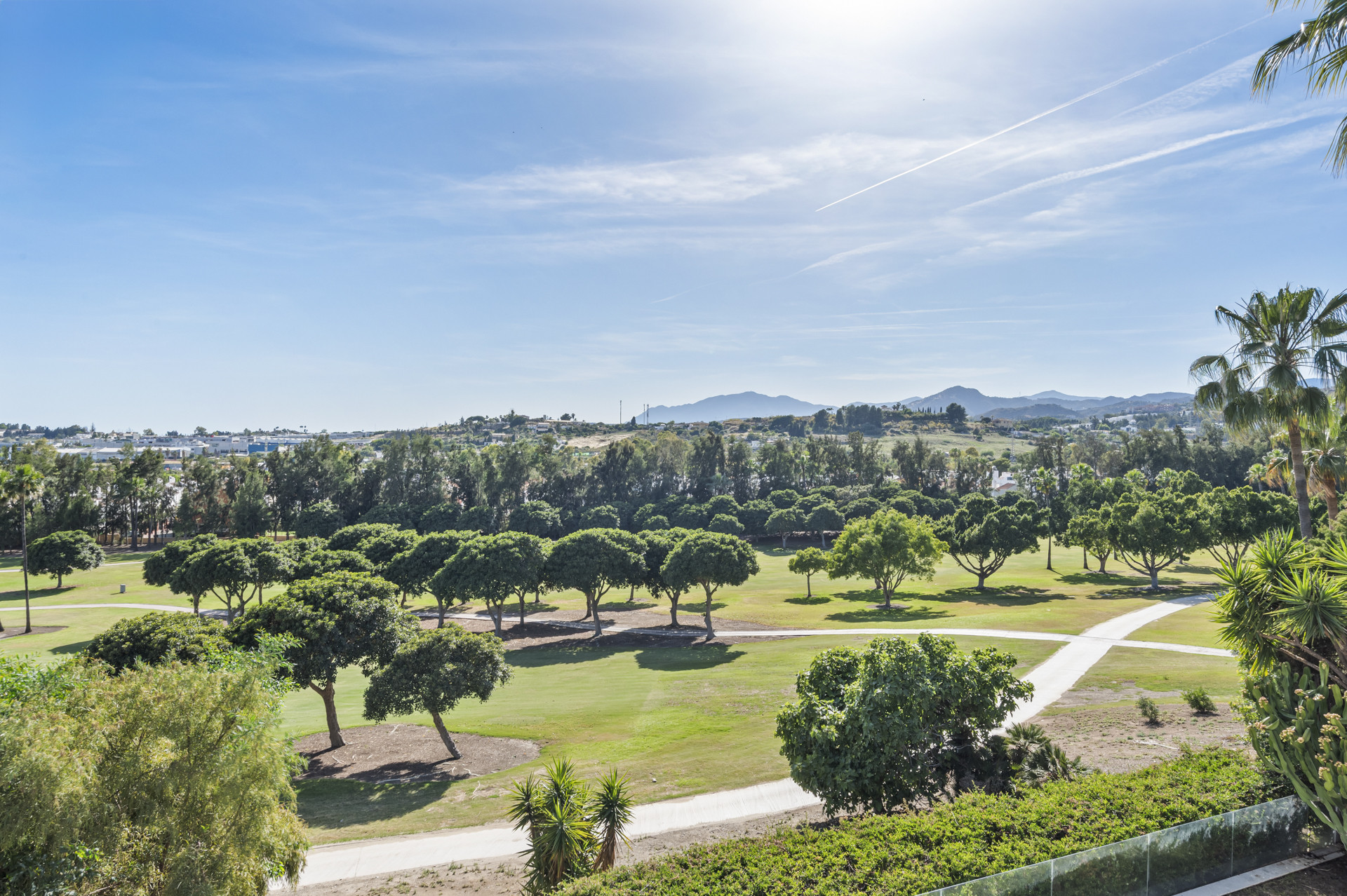 Panoramic view of lush green park with trees and curved pathways under a clear blue sky.