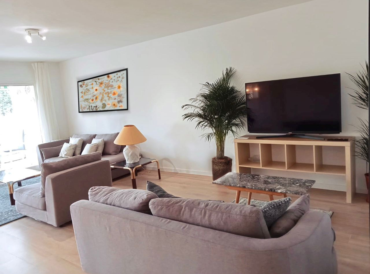 Living room with two sofas, a large TV, entertainment unit, and a plant next to the window.