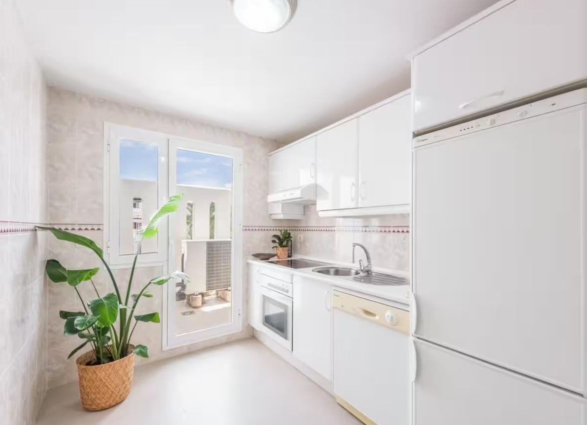 Small kitchen with white cabinets, appliances, a sink, and a large potted plant next to an open window.